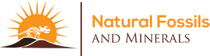 Natural-Fossils-and-Minerals-logo